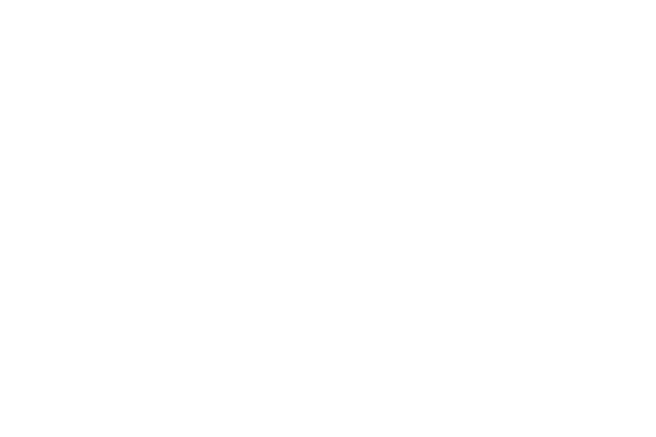 Fundación Carlos Simón