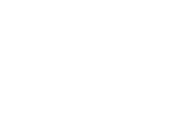 Platos Tradicionales